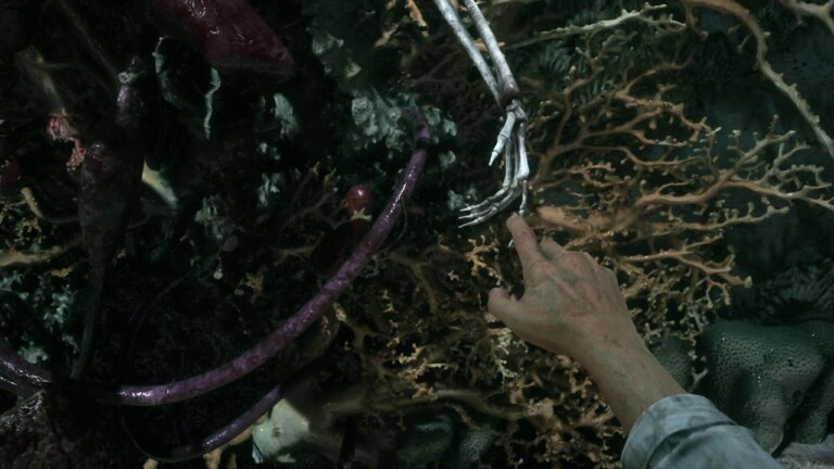 Авторы Maid of Sker и Remothered объединились для создания нового хоррора Sker: The Bleeding Veil